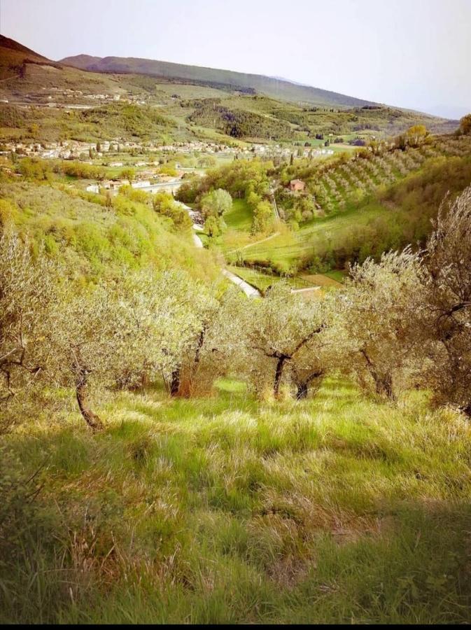 Umbria In Bike B&B Фоліньо Екстер'єр фото